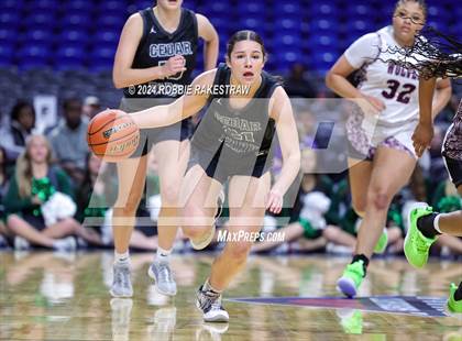 Thumbnail 2 in Mansfield Timberview vs. Cedar Park (UIL 5A Basketball Semifinal) photogallery.