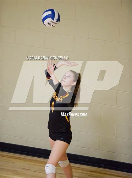 Thumbnail 3 in Oviedo vs. Northgate (NIKE Tournament of Champions)  photogallery.