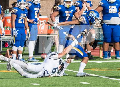 Thumbnail 3 in Bellarmine College Prep @ Serra photogallery.