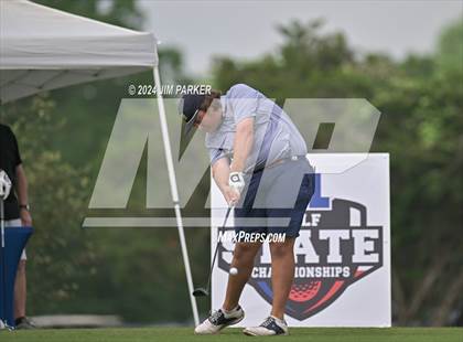 Thumbnail 1 in UIL 6A Golf State Final (Round 1) photogallery.