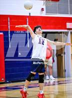 Photo from the gallery "Thomas Dale @ Colonial Heights"