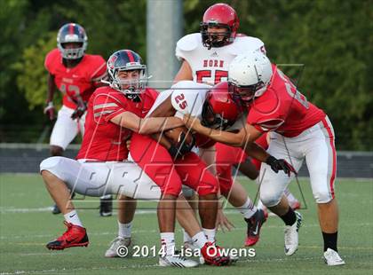 Thumbnail 3 in Boyd Navy vs Horn photogallery.