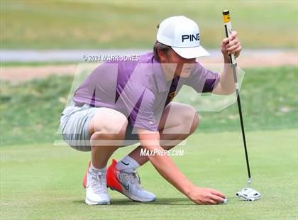 Thumbnail 2 in Metro Invitational  photogallery.