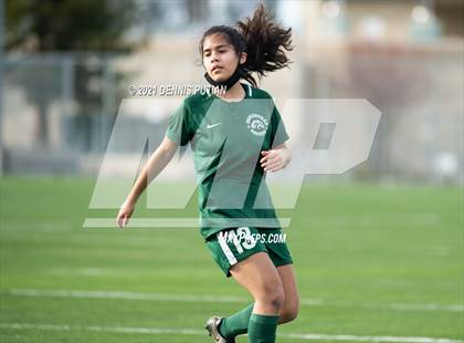 Thumbnail 3 in Los Gatos @ Homestead photogallery.
