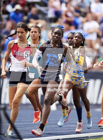 Thumbnail 1 in FHSAA 1A & 3A Finals (1600 Meters) photogallery.