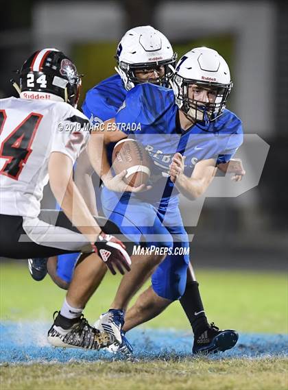 Thumbnail 2 in Pasco @ Dixie Hollins photogallery.