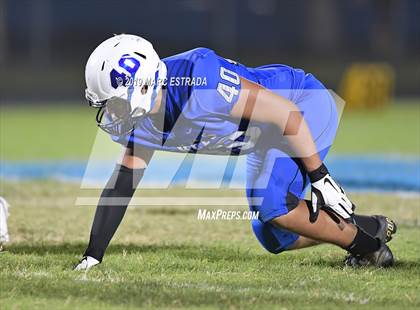 Thumbnail 3 in Pasco @ Dixie Hollins photogallery.