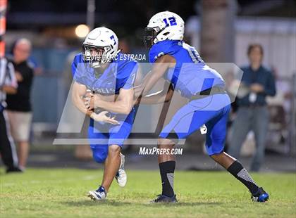 Thumbnail 1 in Pasco @ Dixie Hollins photogallery.