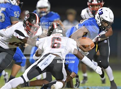 Thumbnail 3 in Pasco @ Dixie Hollins photogallery.