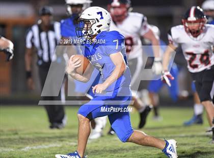 Thumbnail 1 in Pasco @ Dixie Hollins photogallery.