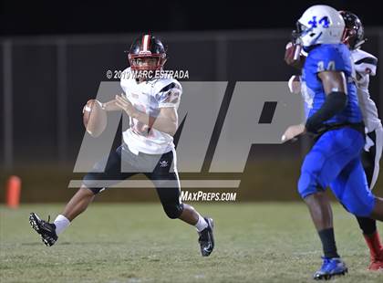 Thumbnail 3 in Pasco @ Dixie Hollins photogallery.