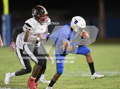 Thumbnail 2 in Pasco @ Dixie Hollins photogallery.