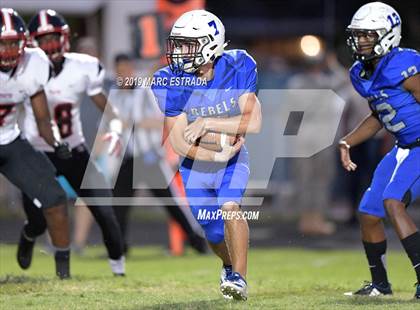 Thumbnail 2 in Pasco @ Dixie Hollins photogallery.