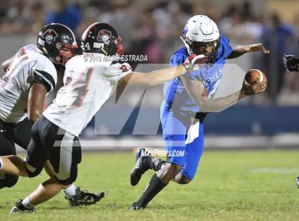 Thumbnail 2 in Pasco @ Dixie Hollins photogallery.