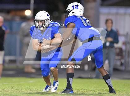 Thumbnail 3 in Pasco @ Dixie Hollins photogallery.