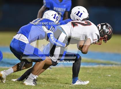 Thumbnail 3 in Pasco @ Dixie Hollins photogallery.
