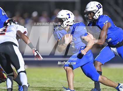Thumbnail 2 in Pasco @ Dixie Hollins photogallery.