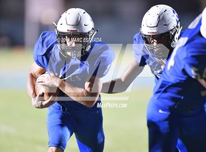 Thumbnail 1 in Pasco @ Dixie Hollins photogallery.