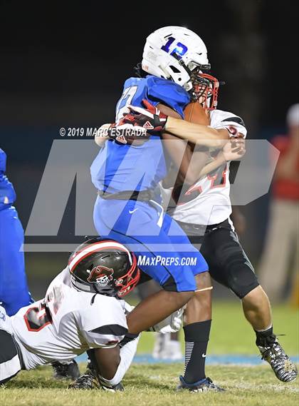 Thumbnail 1 in Pasco @ Dixie Hollins photogallery.