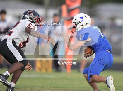 Thumbnail 3 in Pasco @ Dixie Hollins photogallery.