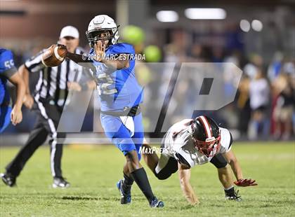 Thumbnail 3 in Pasco @ Dixie Hollins photogallery.