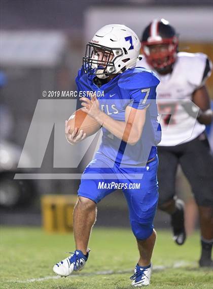 Thumbnail 1 in Pasco @ Dixie Hollins photogallery.