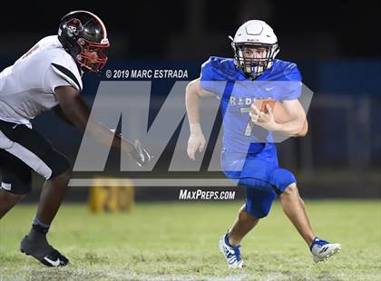 Thumbnail 2 in Pasco @ Dixie Hollins photogallery.