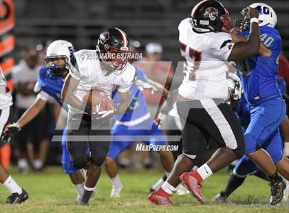 Thumbnail 2 in Pasco @ Dixie Hollins photogallery.