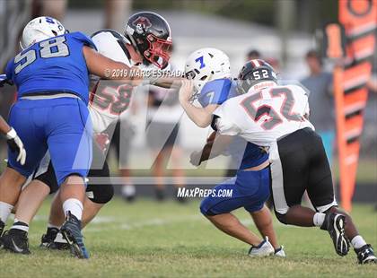 Thumbnail 2 in Pasco @ Dixie Hollins photogallery.