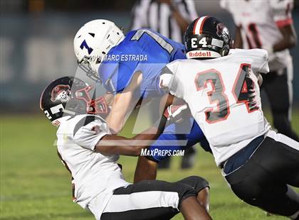 Thumbnail 2 in Pasco @ Dixie Hollins photogallery.