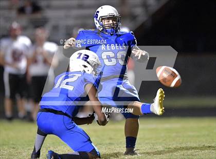 Thumbnail 2 in Pasco @ Dixie Hollins photogallery.