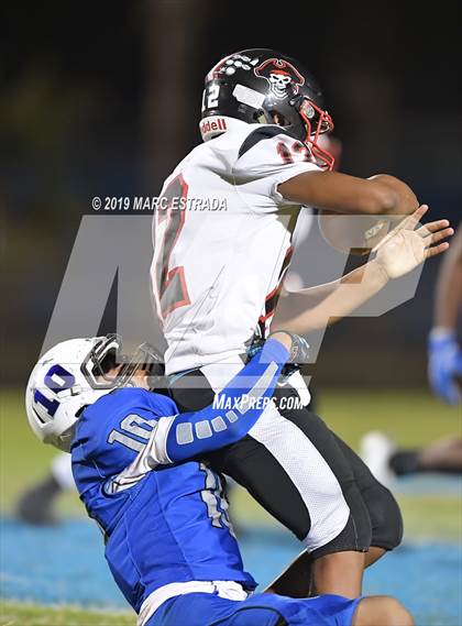 Thumbnail 2 in Pasco @ Dixie Hollins photogallery.