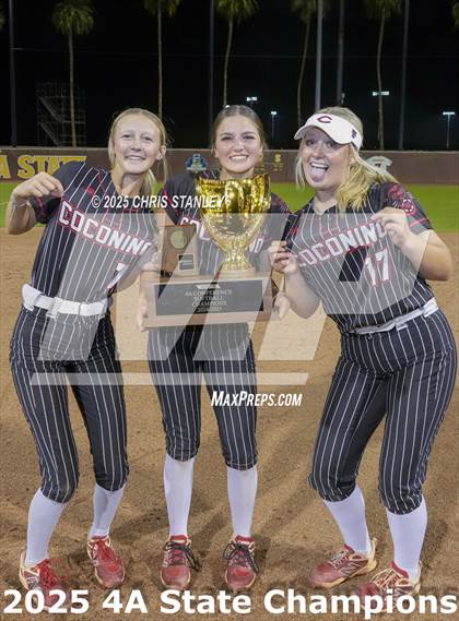 Thumbnail 3 in Coconino vs Salpointe Catholic (AIA 4A Final Awards) photogallery.