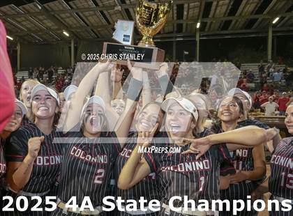 Thumbnail 1 in Coconino vs Salpointe Catholic (AIA 4A Final Awards) photogallery.