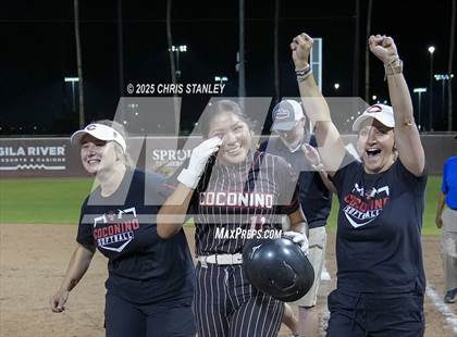Thumbnail 3 in Coconino vs Salpointe Catholic (AIA 4A Final Awards) photogallery.