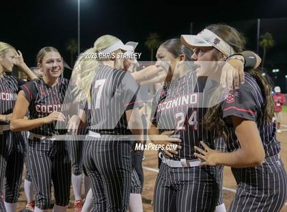 Thumbnail 3 in Coconino vs Salpointe Catholic (AIA 4A Final Awards) photogallery.
