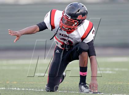 Thumbnail 1 in North Garland @ Naaman Forest photogallery.