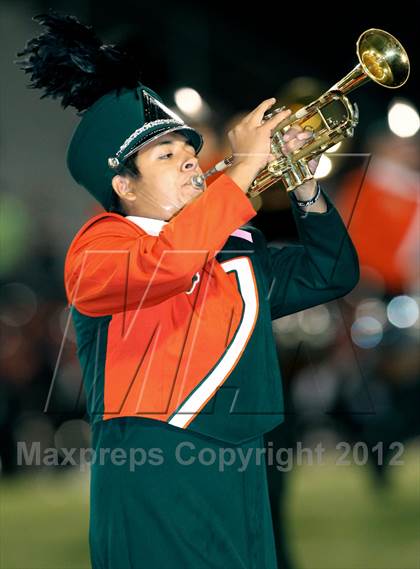 Thumbnail 1 in North Garland @ Naaman Forest photogallery.