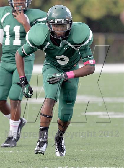 Thumbnail 3 in North Garland @ Naaman Forest photogallery.