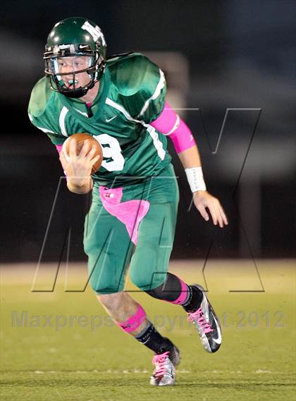 Thumbnail 2 in North Garland @ Naaman Forest photogallery.