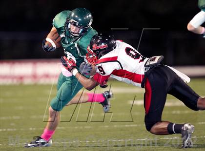 Thumbnail 1 in North Garland @ Naaman Forest photogallery.
