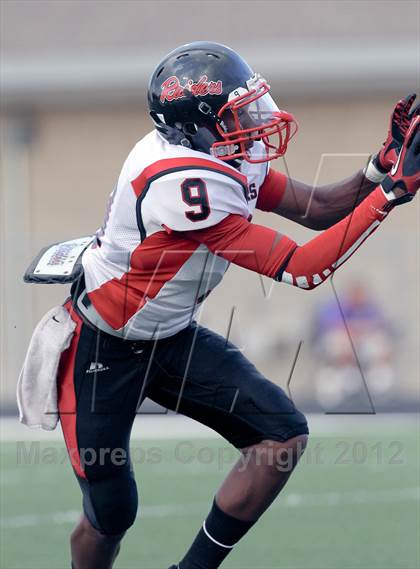 Thumbnail 3 in North Garland @ Naaman Forest photogallery.
