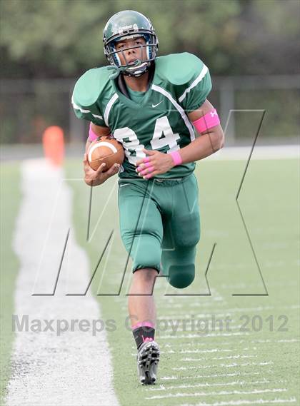 Thumbnail 2 in North Garland @ Naaman Forest photogallery.