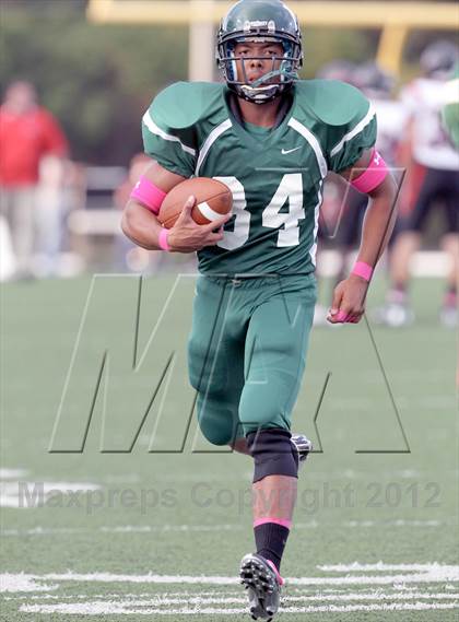 Thumbnail 2 in North Garland @ Naaman Forest photogallery.