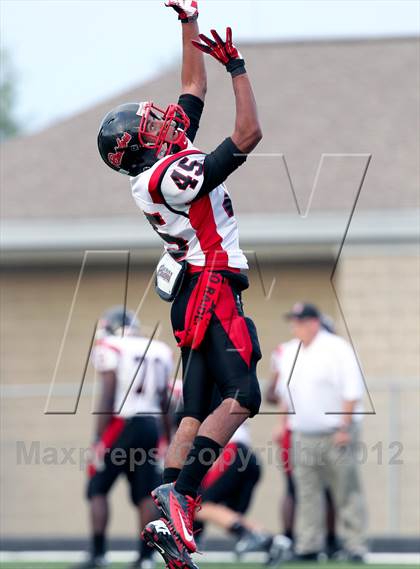 Thumbnail 1 in North Garland @ Naaman Forest photogallery.