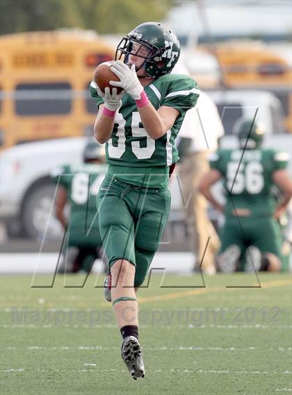 Thumbnail 1 in North Garland @ Naaman Forest photogallery.