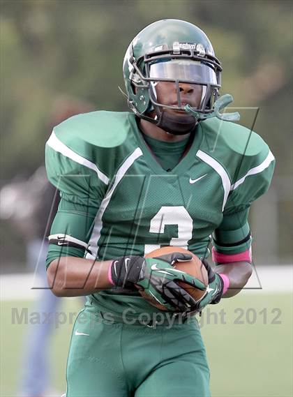 Thumbnail 2 in North Garland @ Naaman Forest photogallery.