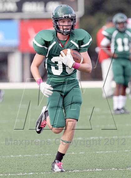 Thumbnail 2 in North Garland @ Naaman Forest photogallery.