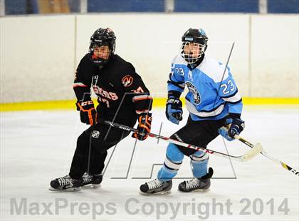 Thumbnail 2 in White Plains @ Suffern photogallery.