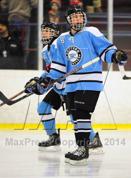 Thumbnail 1 in White Plains @ Suffern photogallery.